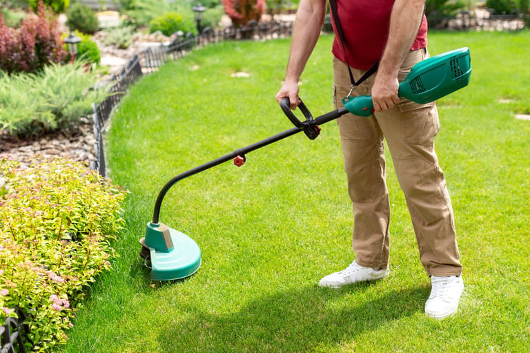 Lawn maintenance and edging
